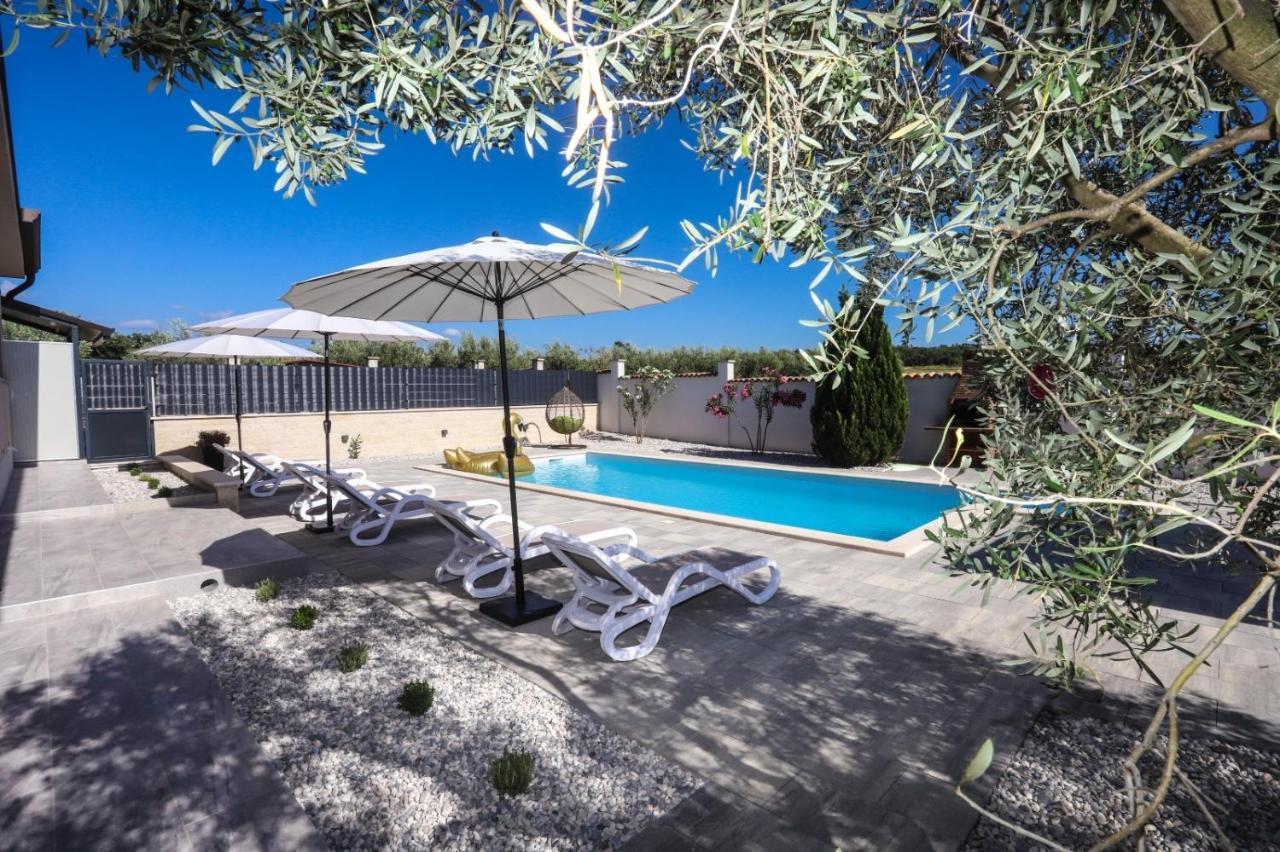 Apartment Nina With Private Pool Нова-Вас Экстерьер фото